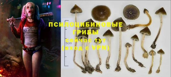круглые Арсеньев