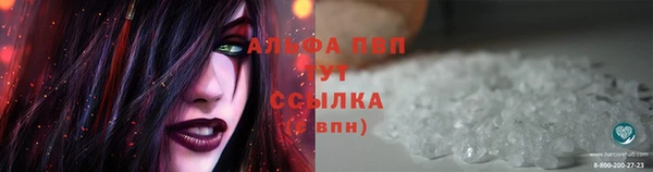 герыч Бородино